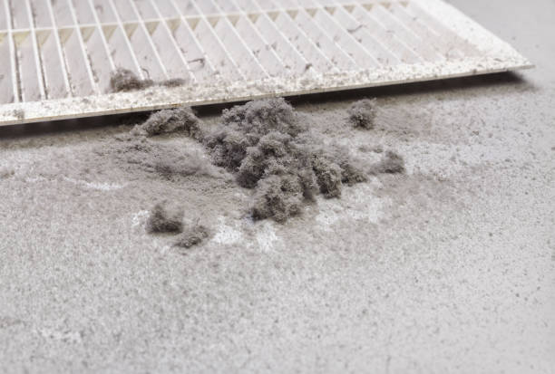 Best HVAC Duct Inspection Services  in Crittenden, KY